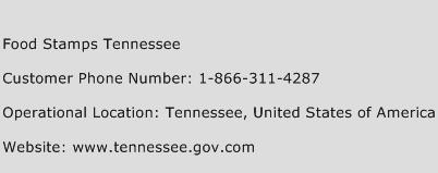 Food Stamps Tennessee Phone Number Customer Service